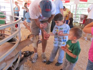 Petting Zoo
