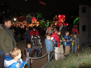 Zoo Lights 1