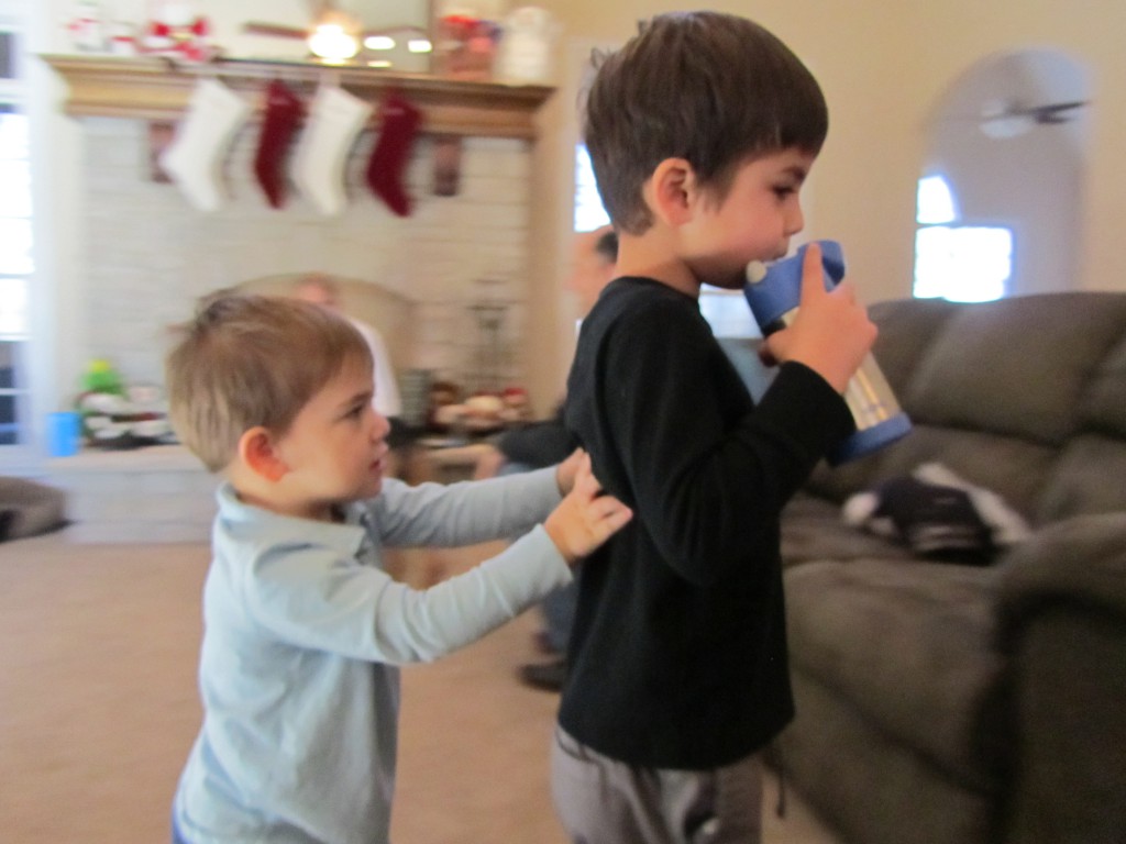 Brotherly Love 3