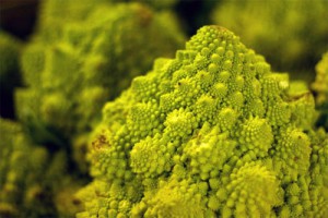 Romanesco Broccoli