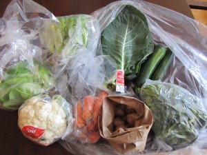 Fresh Picks March 14