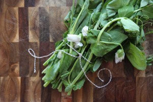 Pea Tendrils