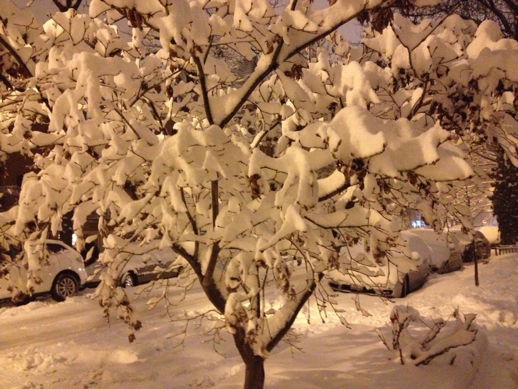 Snow accumulation after the snow storm last night