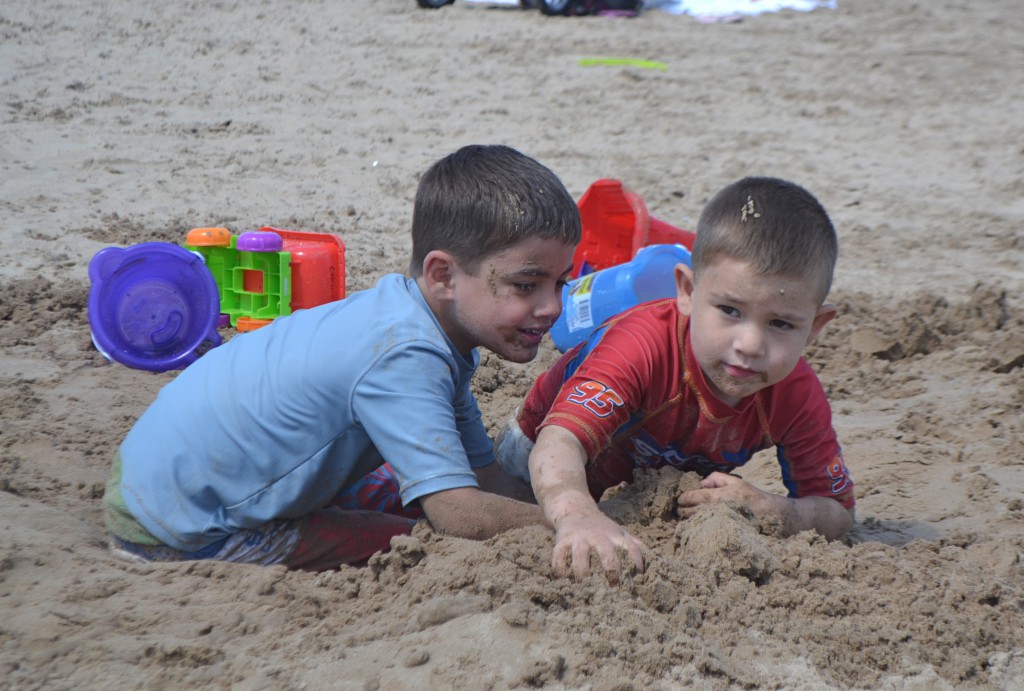 Brother Love. Actually they fought the whole time, but I was able to get this one nice picture...