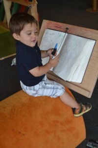 Sam loves pens, we caught him scribbling in the basement with one recently.
