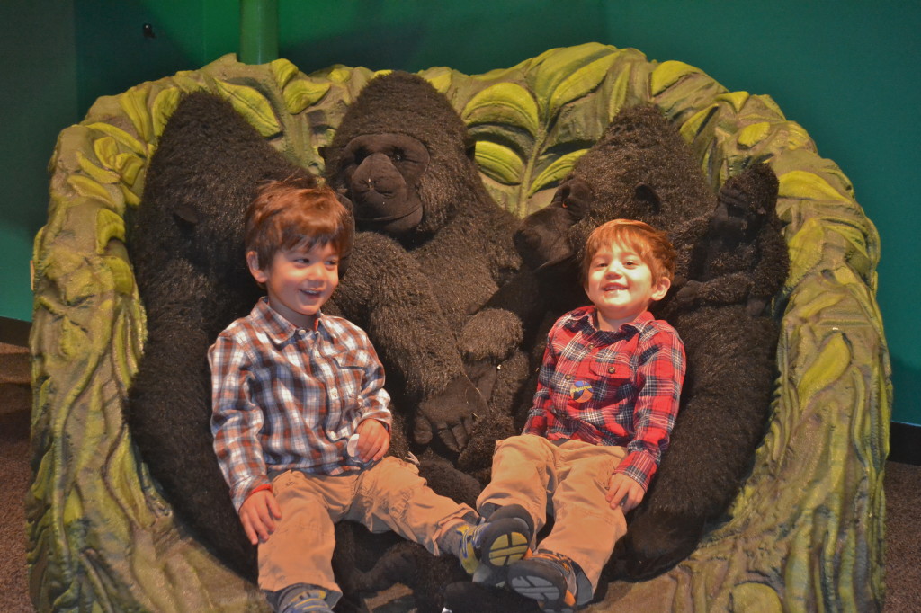Family of stuffed animal Apes in a tree stump.