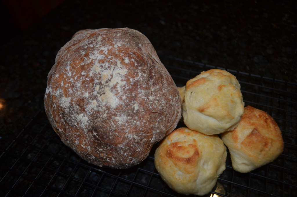 Boule and Dinner Rolls