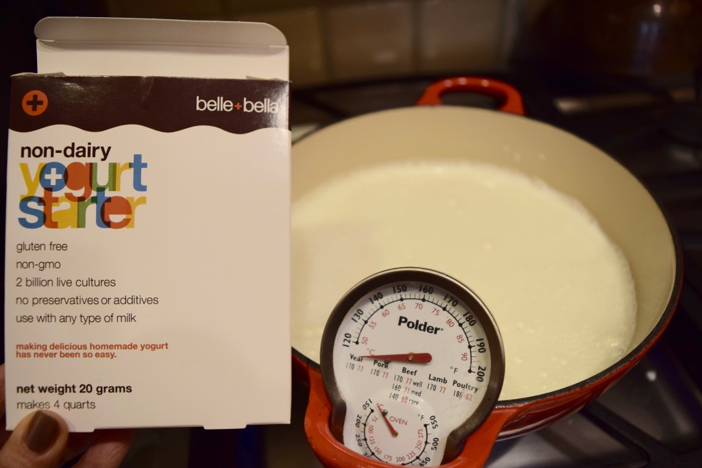 Home made lactose free yogurt