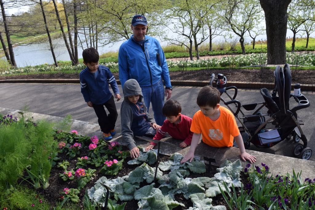 Feeling and Smelling leaves and trees in the sensory garden.