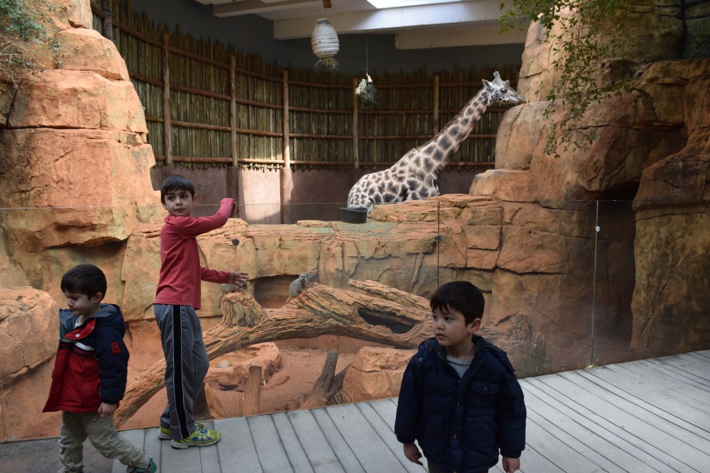 Regenstein African Journey
