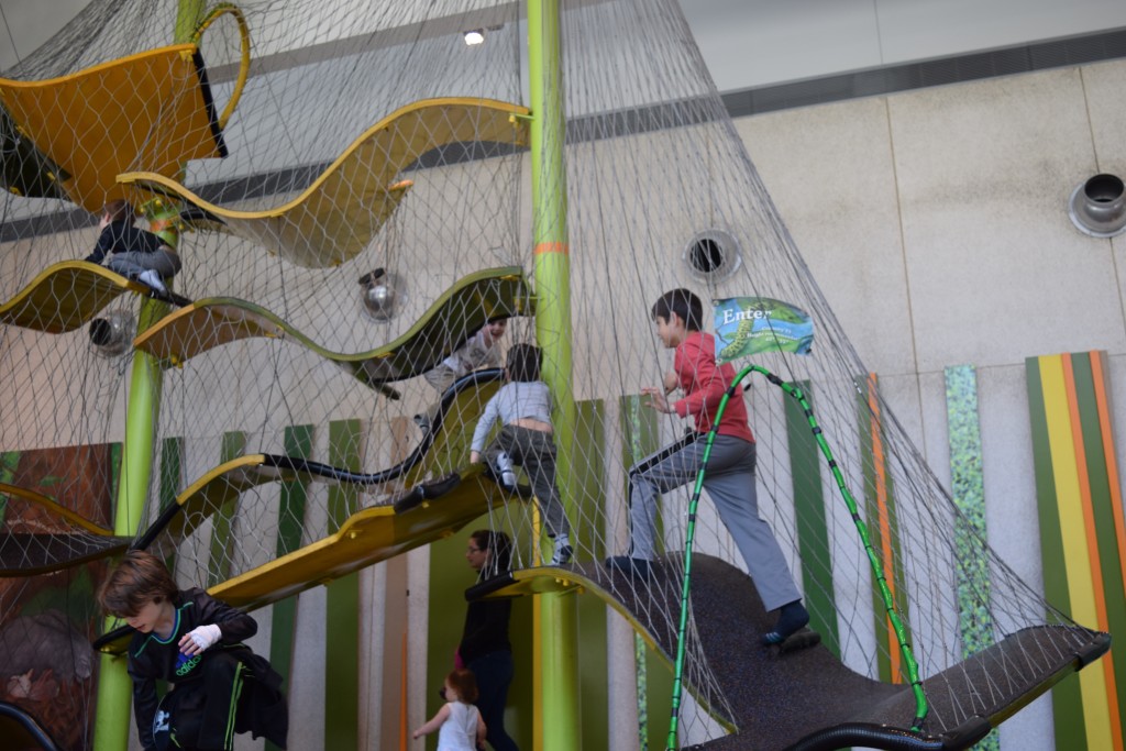 Climbing Structure at the Pritzker Family Zoo