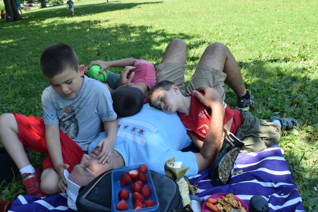 picnic