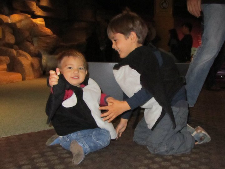 November 2010, Ben and Jack as penquins