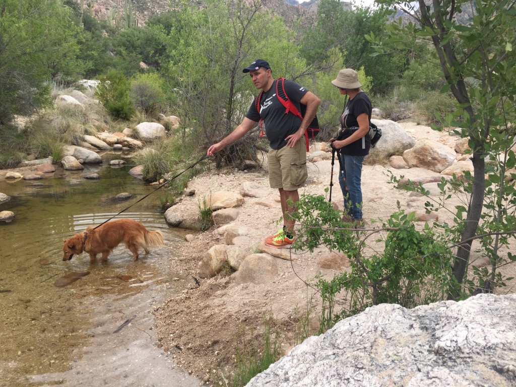 Catalina State Park.