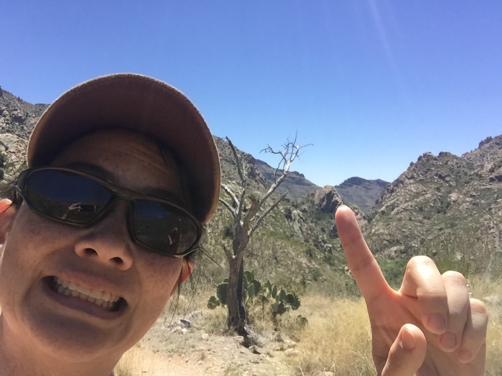 We hiked from that ridge!