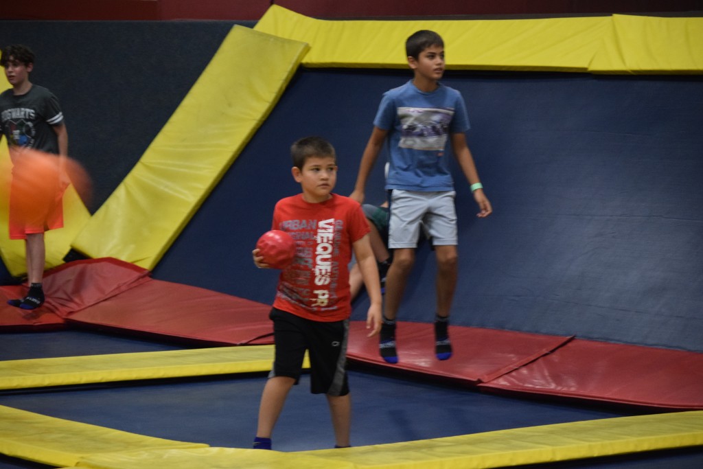 Dodgeball Arena
