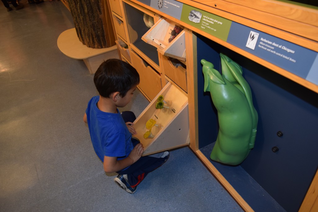 Discovering specimens