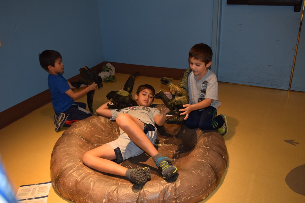 Hanging out in a Dinosaur nest.