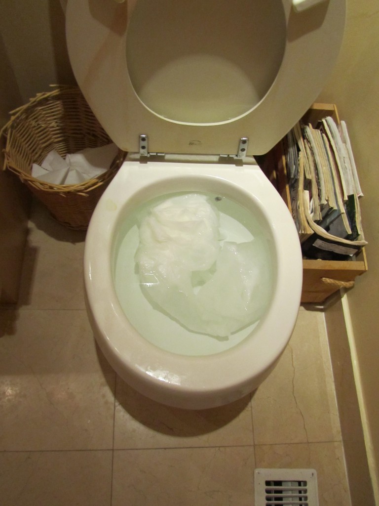 Toilet Stuffing