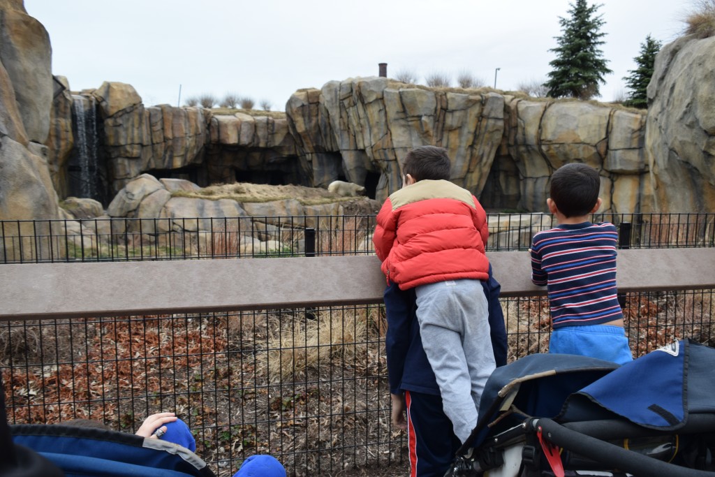 New Polar Bear Exhibit